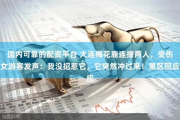 国内可靠的配资平台 大连梅花鹿连撞两人，受伤女游客发声：我没招惹它，它突然冲过来！景区回应