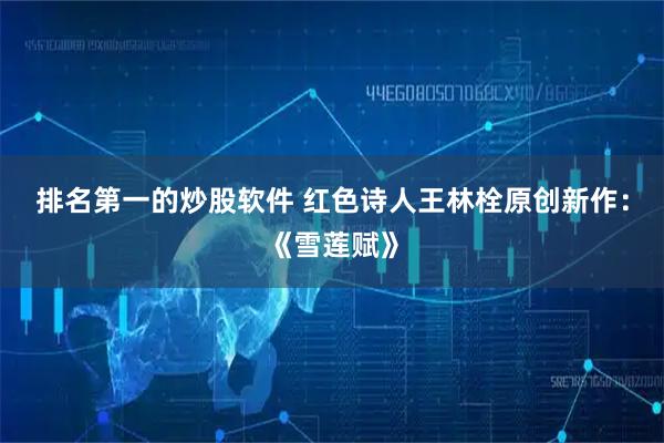排名第一的炒股软件 红色诗人王林栓原创新作：《雪莲赋》