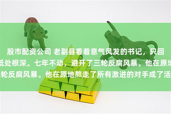 股市配资公司 老副县看着意气风发的书记，只回了八个字：高处风急，低处根深。七年不动，避开了三轮反腐风暴。他在原地熬走了所有激进的对手成了活化石