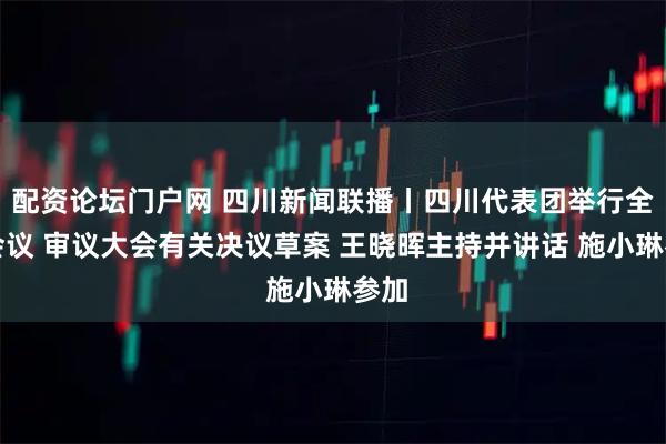 配资论坛门户网 四川新闻联播丨四川代表团举行全体会议 审议大会有关决议草案 王晓晖主持并讲话 施小琳参加