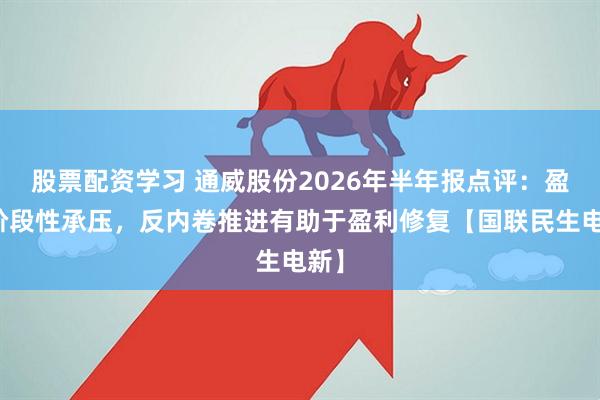 股票配资学习 通威股份2026年半年报点评：盈利阶段性承压，反内卷推进有助于盈利修复【国联民生电新】